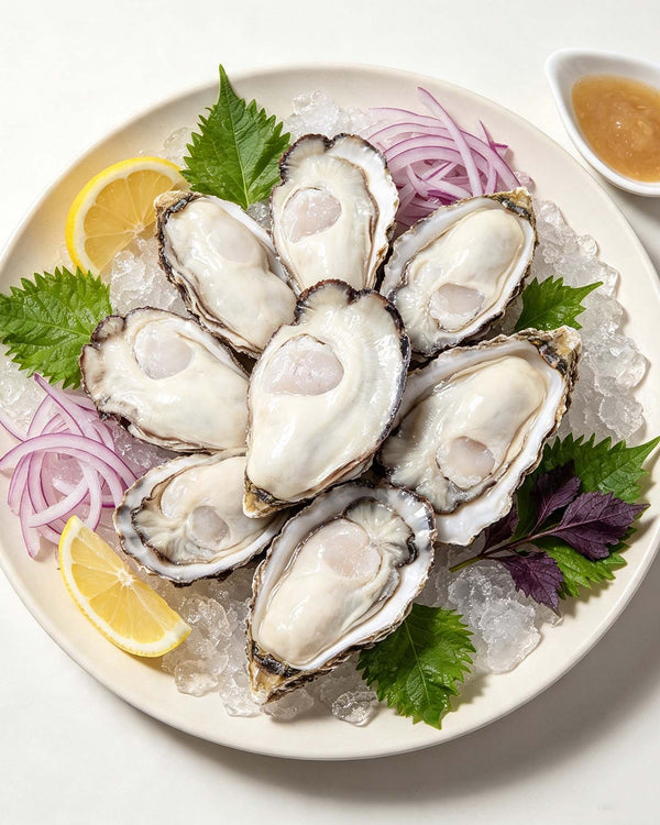 Fresh Shucked Oyster Meat
